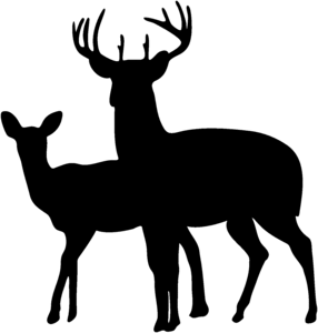 Buck And Doe Deer Decal STOD #8-F Hunting Window Decals - Wildlife ...