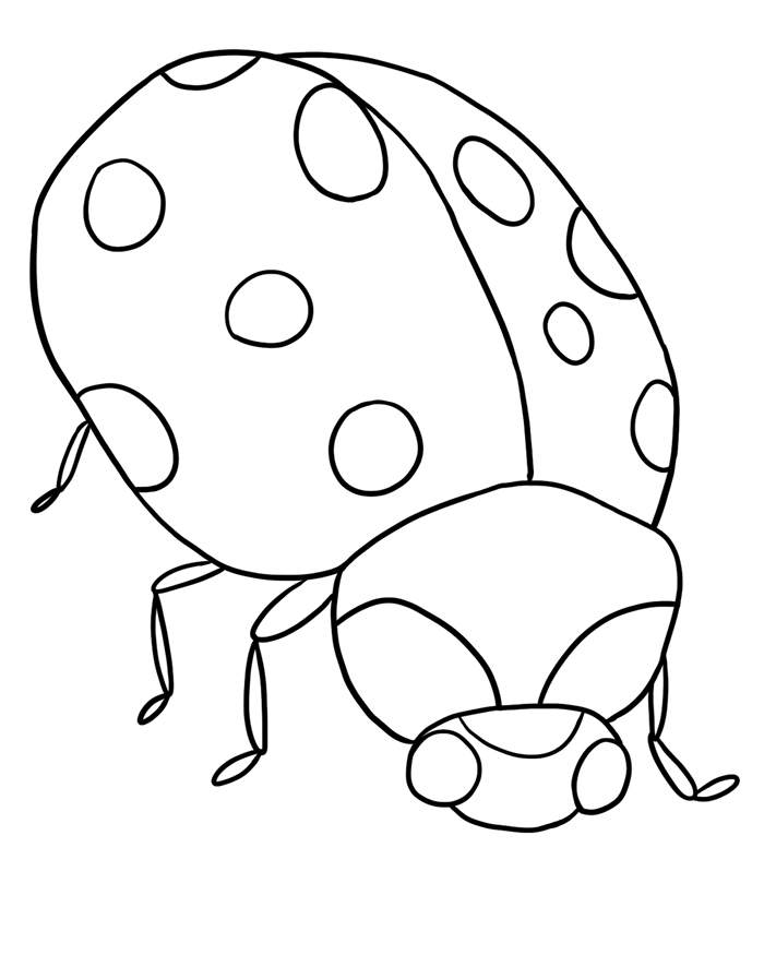 Bug Coloring Sheets - Ant-llc.net