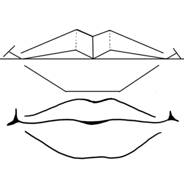 Drawing Mouths & Lips - How to Draw Mouths Step by Step Lesson ...