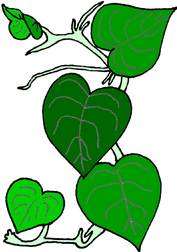 Free clip art vines clipart - Clipartix