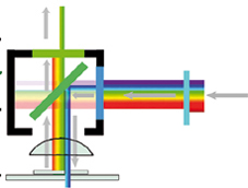 Milestone 4 : Nature Milestones in Light Microscopy