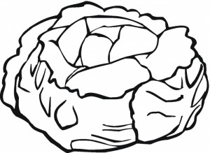 Lettuce Coloring Page - ClipArt Best