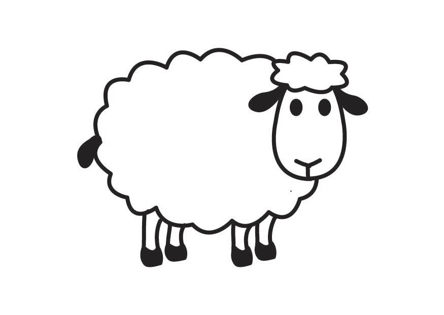 Cartoon Drawing Of A Sheep | Lol-