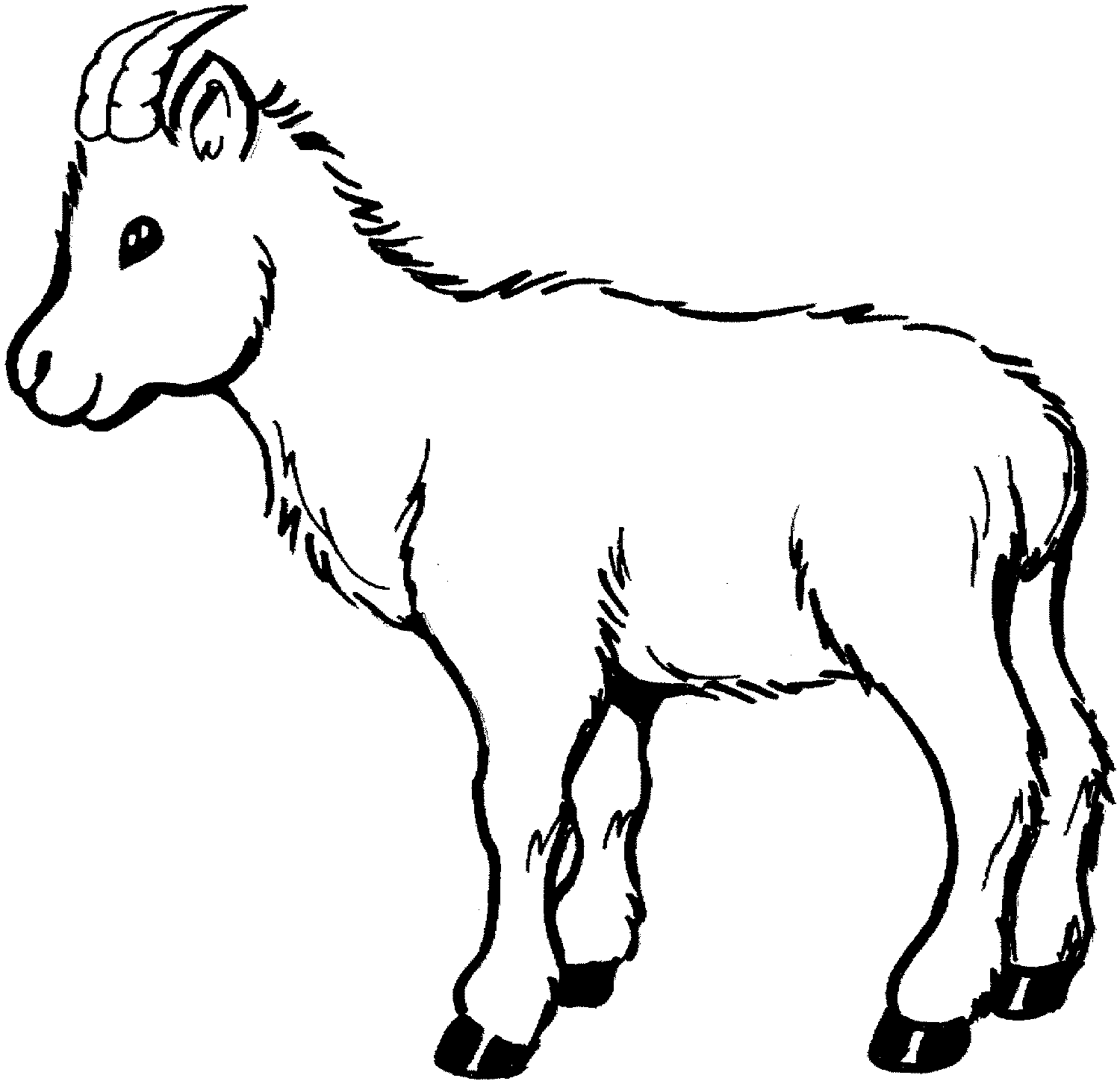 goat coloring page id 6686 : Uncategorized - yoand.biz