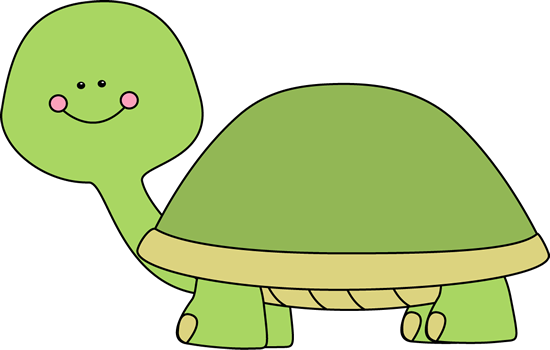 Images Of Turtle