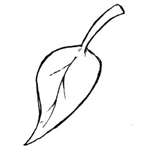 Leaf Clip Art Black And White - ClipArt Best