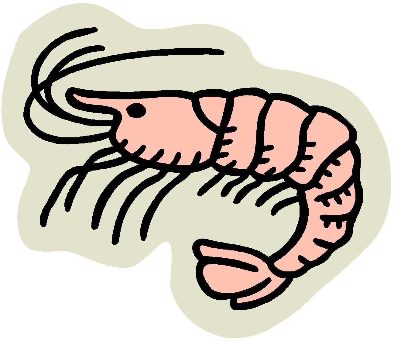 Cooked Shrimp Clipart - Free Clipart Images