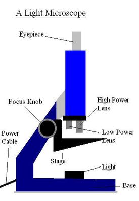 Parts Of The Microscope Diagram - ClipArt Best