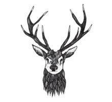 How To Draw Deer Antlers - ClipArt Best