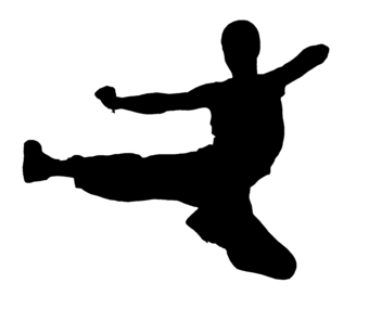 Silhouette kung fu flying kick ninja T-Shirt Designs | Wordans Canada