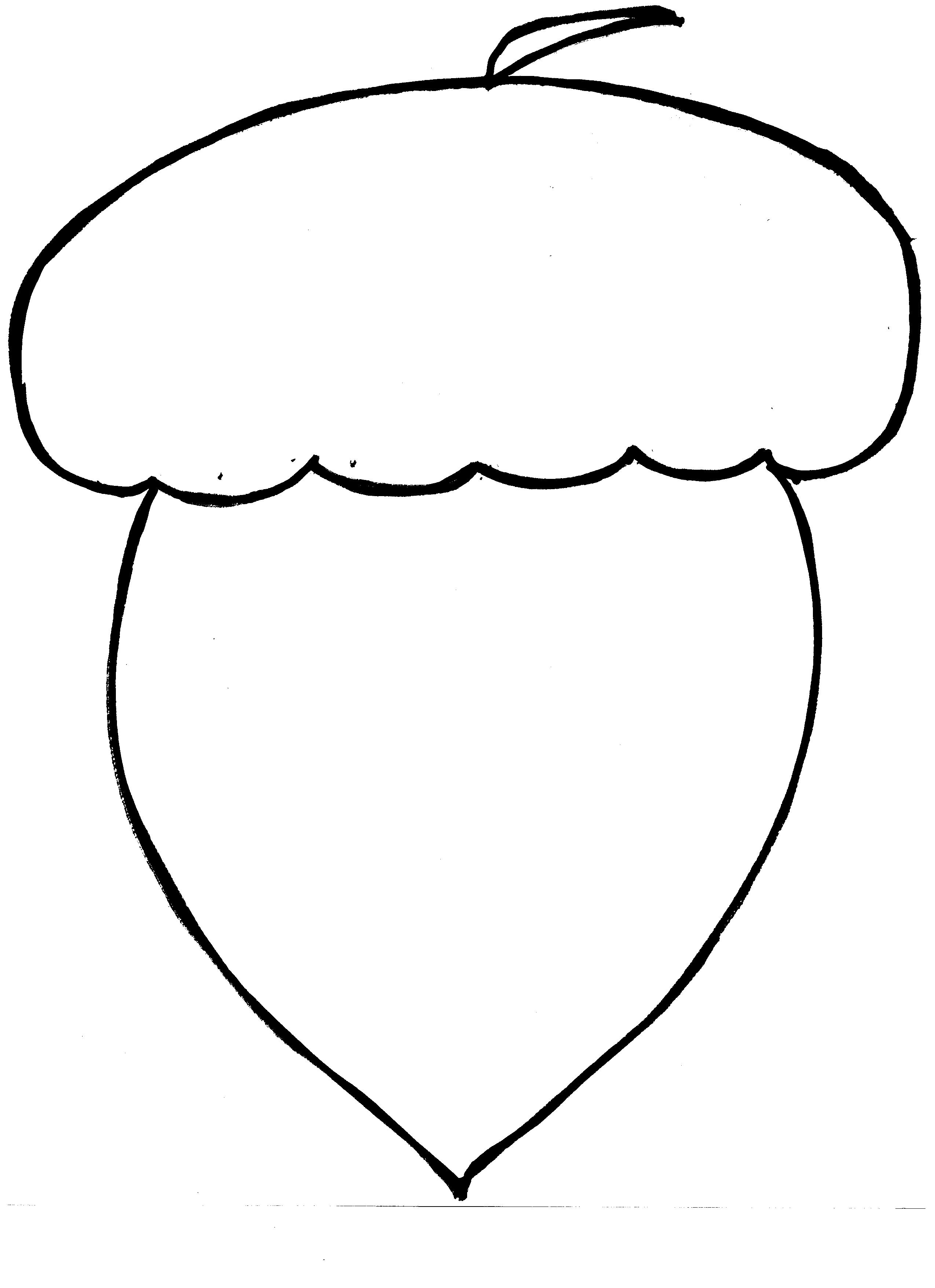 Acorn Drawing | Free Download Clip Art | Free Clip Art | on ...