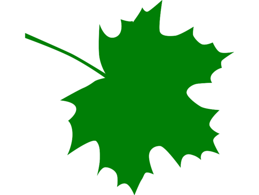 Free maple leaf clip art