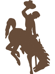 Pictures Of Bucking Horses - ClipArt Best