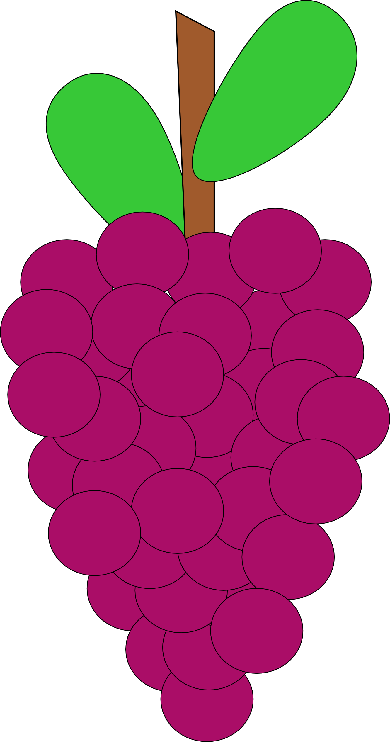 machovka grape vine SVG
