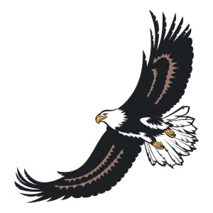 Soaring Eagle - BearGraphx.com