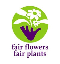 Fair Flowers, Fair Plants | Corporate FlowersCorporate, Office ...