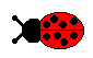 Ladybug Clip Art - Free Ladybug Clip Art - Clip Art of Ladybugs ...