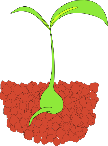 seedling clip art - Hats Pictures Gallery - Zimbio