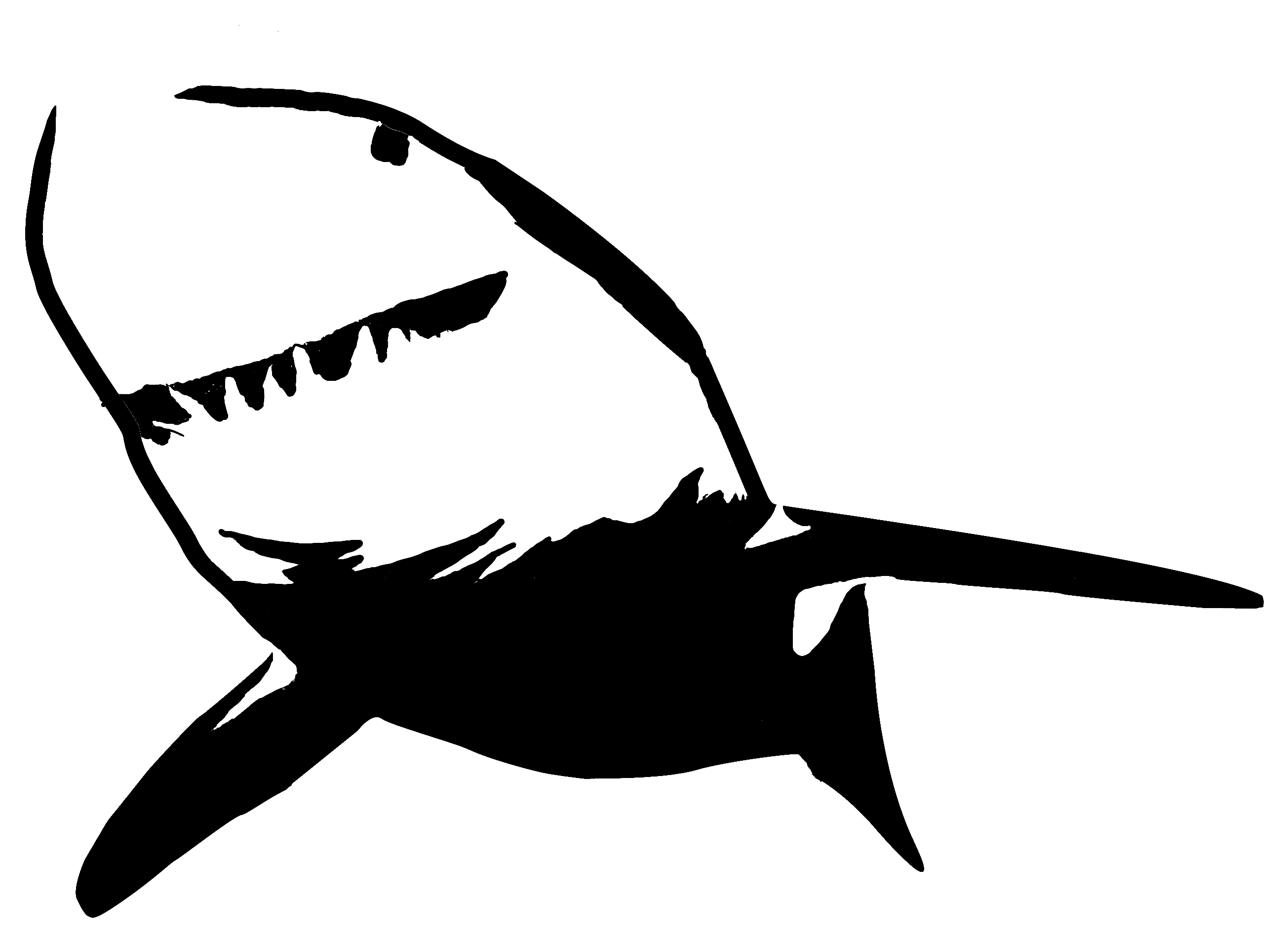 Shark Template - Minecraft Fanfictions Wiki