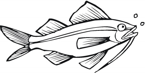 Catfish coloring pictures | Super Coloring