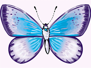 Butterflies Graphics and Animated Gifs