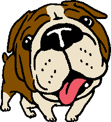 Bulldog clipart images, icons < Free graphics