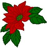 Free Christmas Poinsettia Clipart