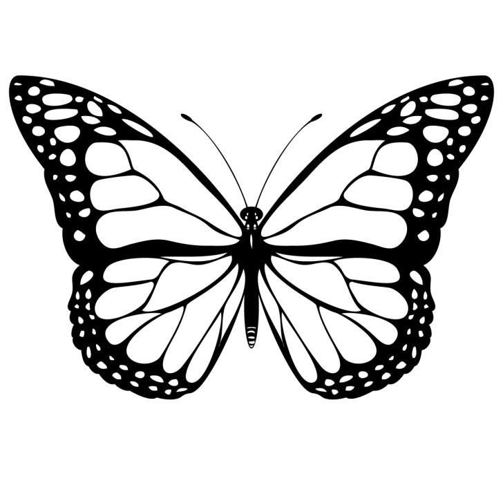 Line Art Butterfly - ClipArt Best