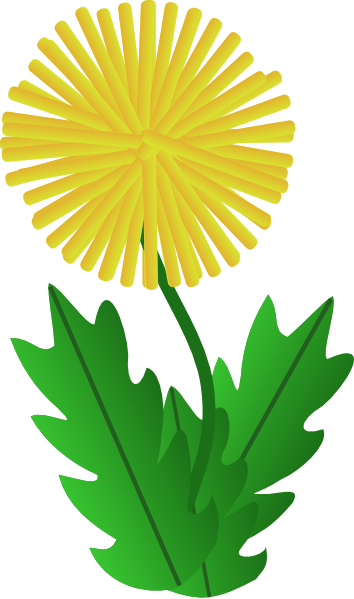 Dandelion Clipart