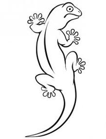 Easy Gecko Drawing Clipart - Free to use Clip Art Resource