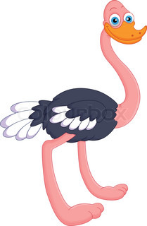 Cartoon ostrich | Vector | Colourbox