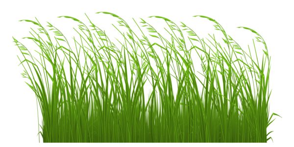 Gif clipart images of grass