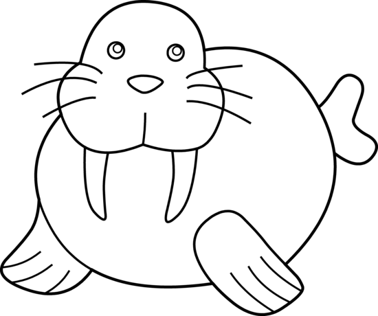 Walrus walross clipart clipart