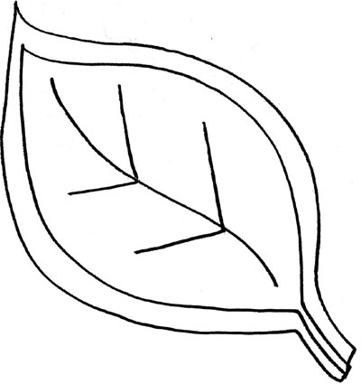 Leaf outline sycamore leaf pattern use the printable outline for ...