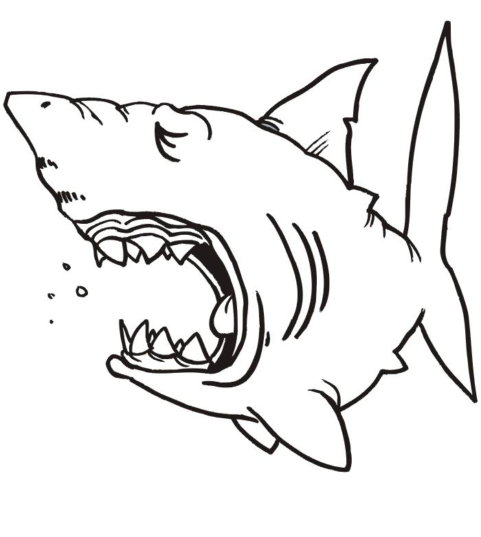 Imprime le dessin Ã  colorier de requin