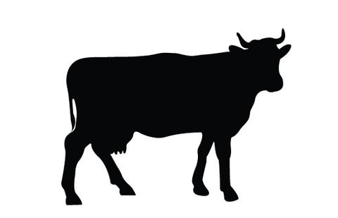 Cow silhouette vector – Silhouettes Vector