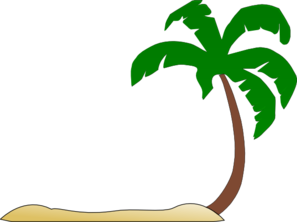beach-palm-tree-md.png