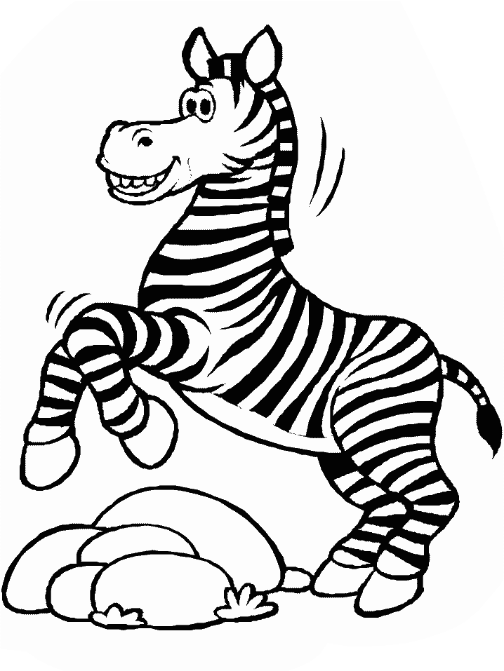 zebra-