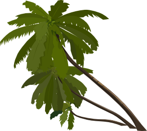 Palmetto Tree Art - ClipArt Best