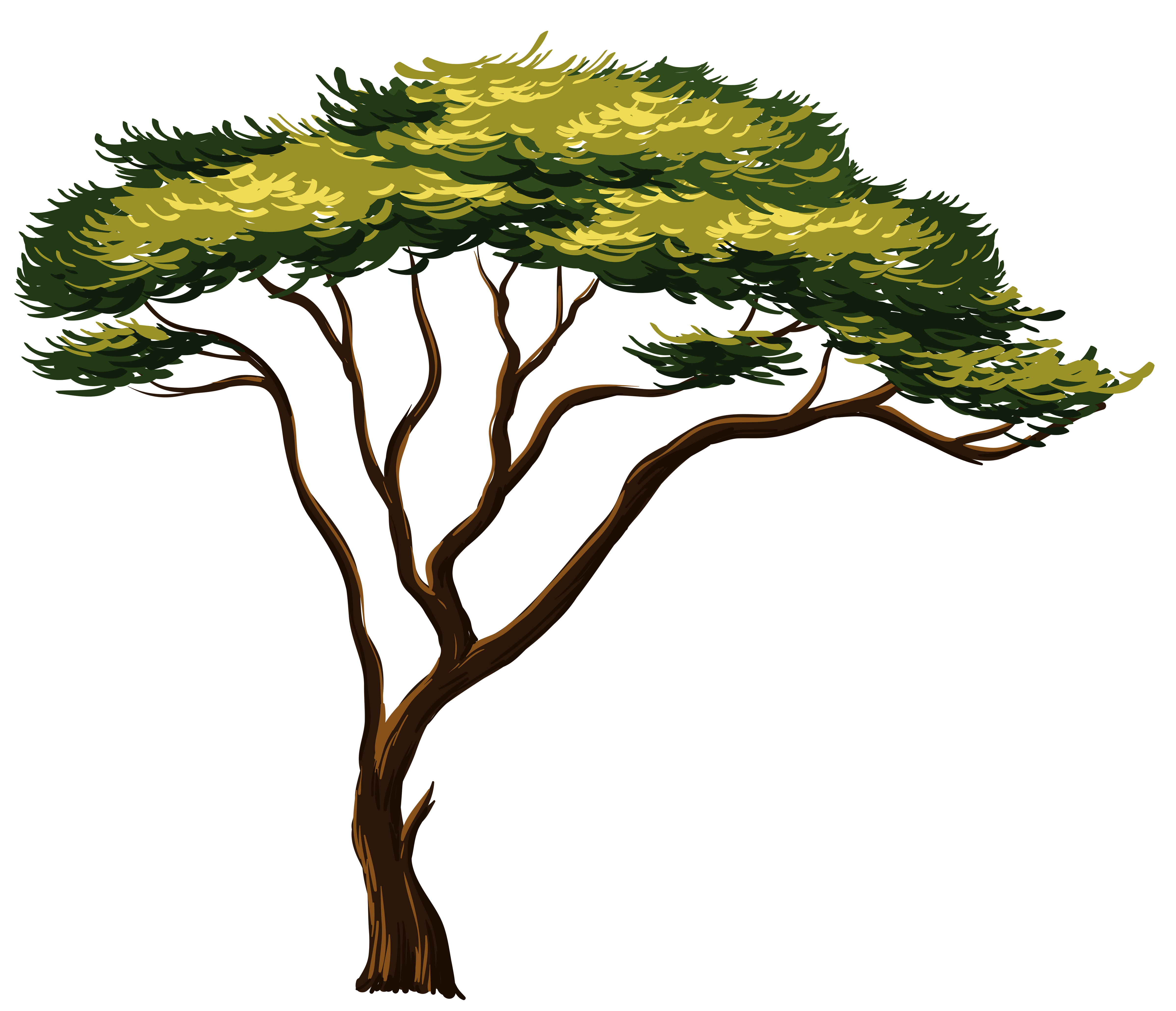 African tree clipart - Cliparting.com