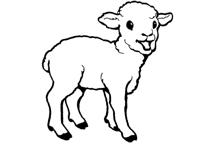 Baby Goat Coloring Pages - Dzrleather.com