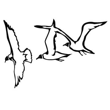 Bird (Seagulls) | Memorialization & Personalization - Life's ...