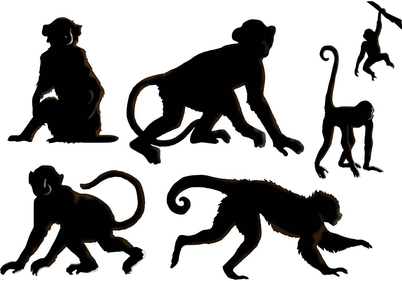 Monkey Free Vector Art - (4957 Free Downloads)