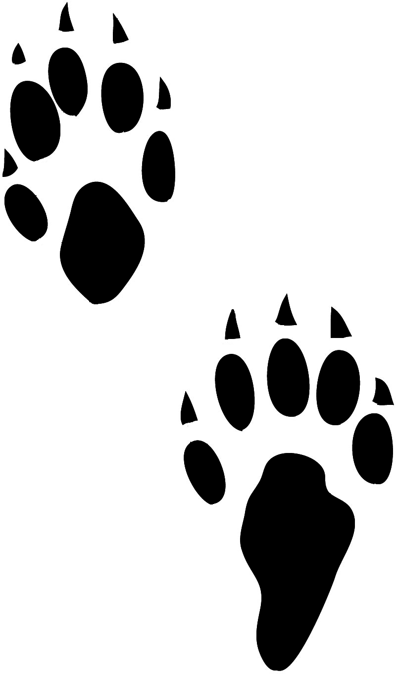 Rabbit footprint clipart