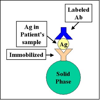 Antigen-antibody reactions