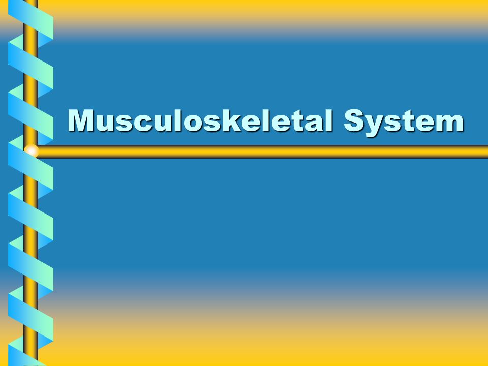 Musculoskeletal System. 2 Contents Introduction Functions of the ...