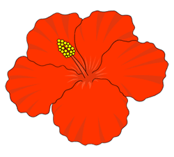 Hibiscus Flower Cartoon 19894 Hd Wallpapers Background in Flowers ...