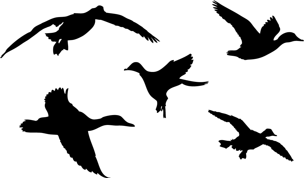 Duck Silhouette | Free Download Clip Art | Free Clip Art | on ...