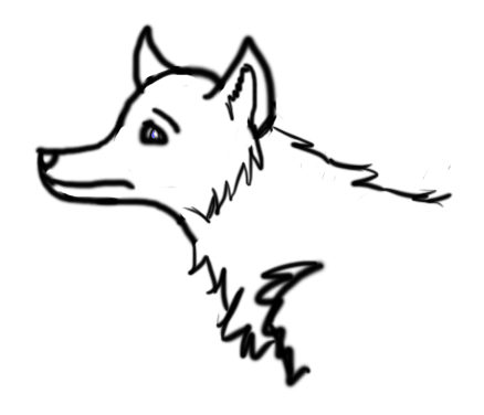 Amazing Wolf Drawing - ClipArt Best