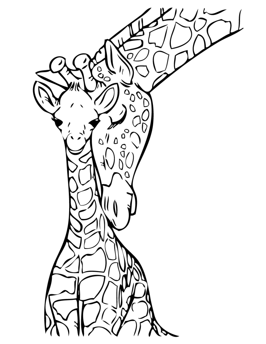 Giraffe Drawing Clipart - Free to use Clip Art Resource